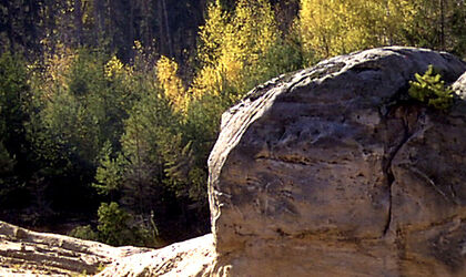 Urfels aus Räthsandstein in der Sandgrube Lauterbach bei Bayreuth